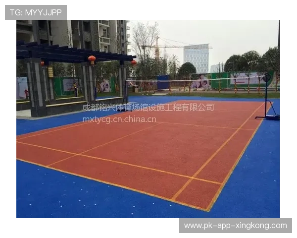 2026年网球基层场馆运营者扶持资金发放情况说明，网球场审批